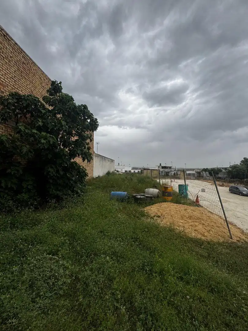 Rural land for sale in Arahal, imagen 2