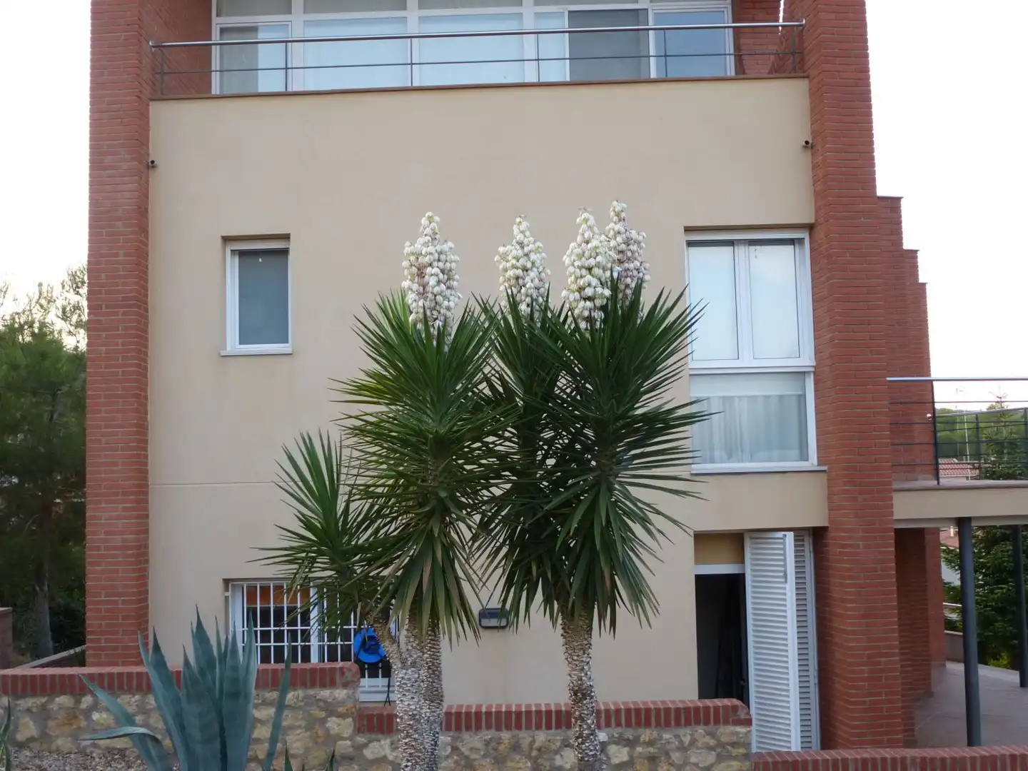 Vista exterior de Casa o xalet en venda en Urbanitzacions de Llevant