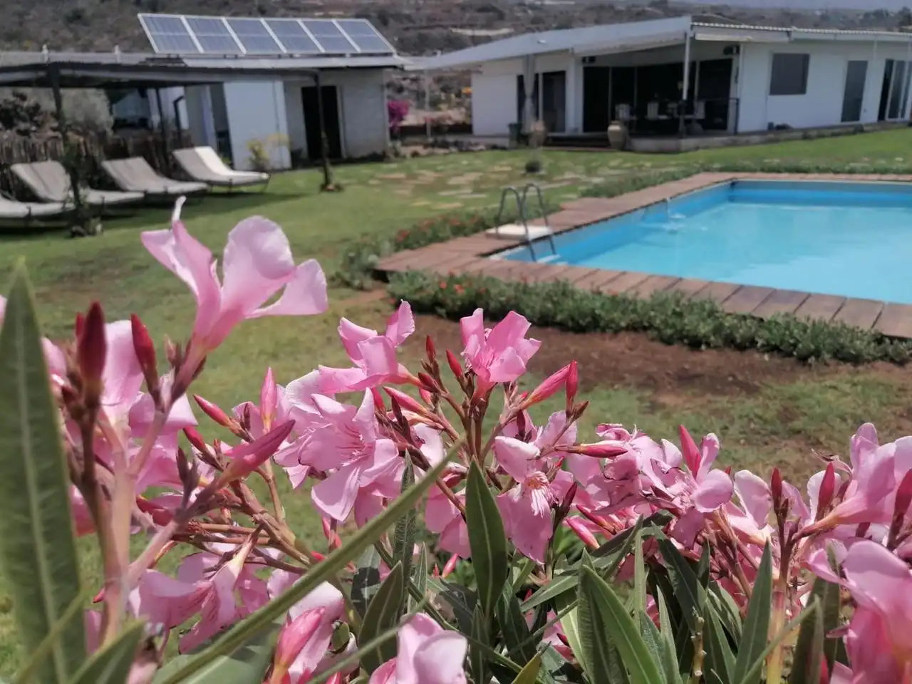 Piscina de Casa o chalet en venta en Guía de Isora con Jardín privado, Terraza y Piscina