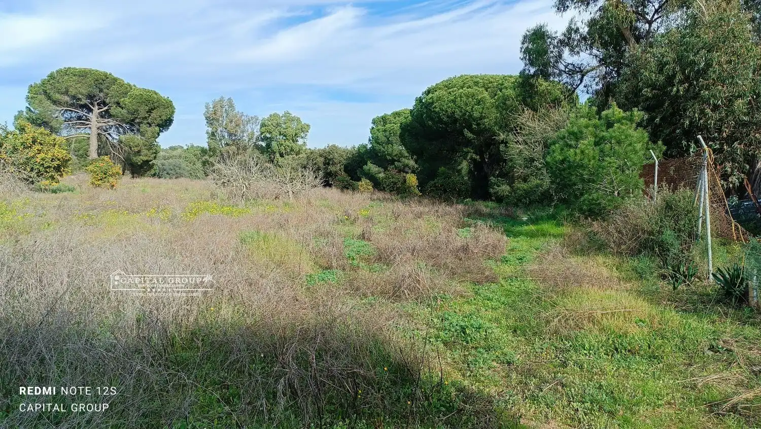 Terrenos y solares en venta en Gibraleón, imagen 39