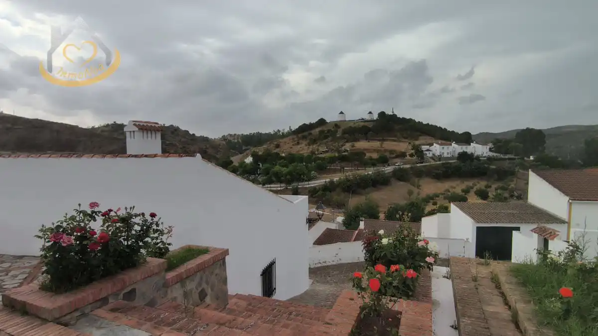 Vista exterior de Casa o xalet en venda en Sanlúcar de Guadiana amb Jardí privat, Terrassa i Moblat