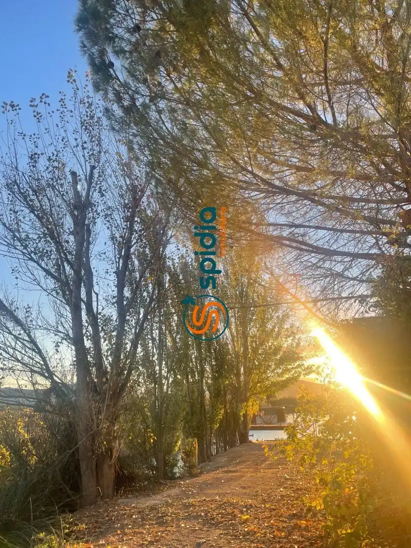 Vista exterior de Casa o chalet en venta en Lorca con Calefacción y Terraza