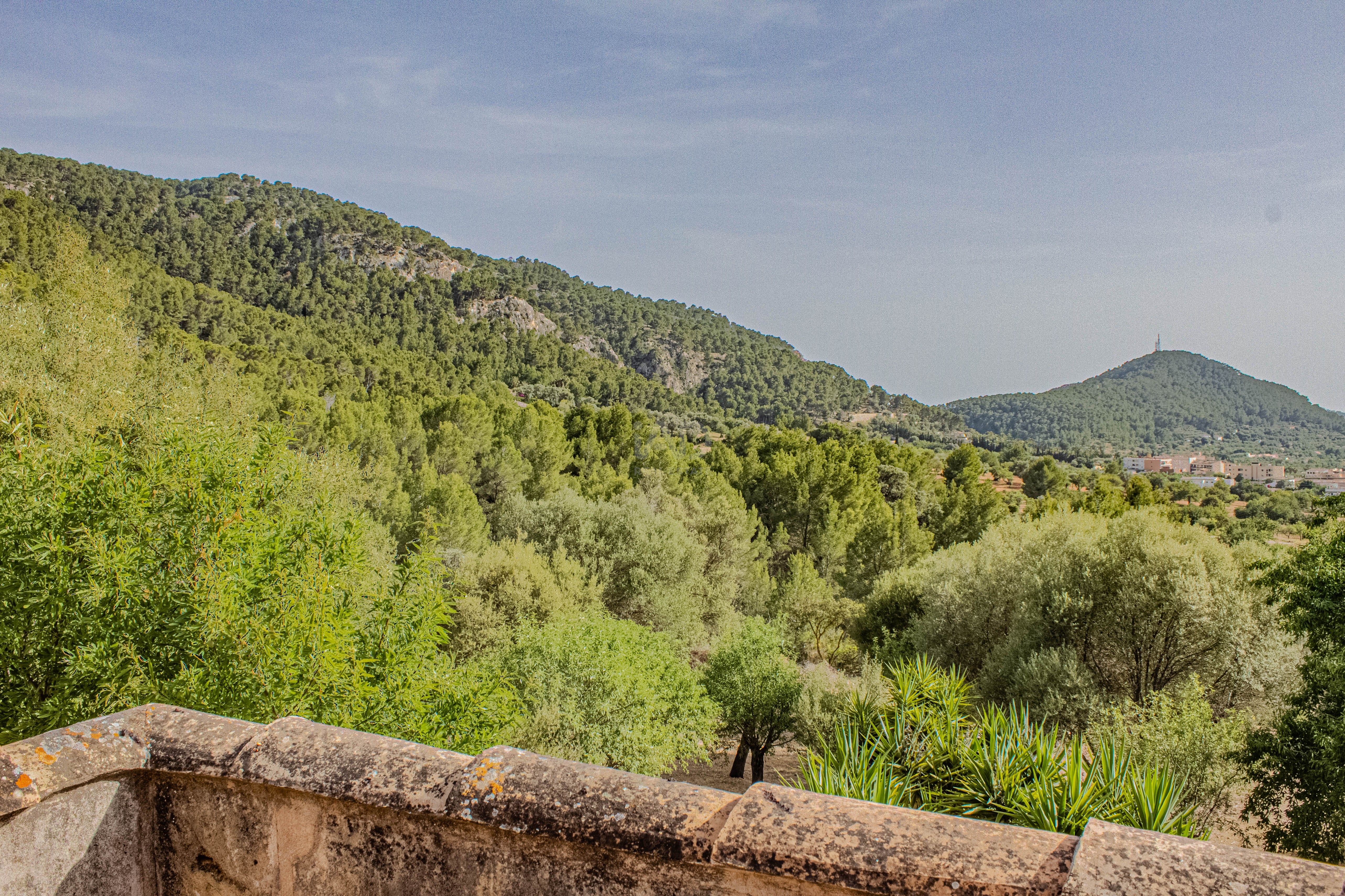 Garden of House or chalet for sale in Andratx  with Heating and Terrace