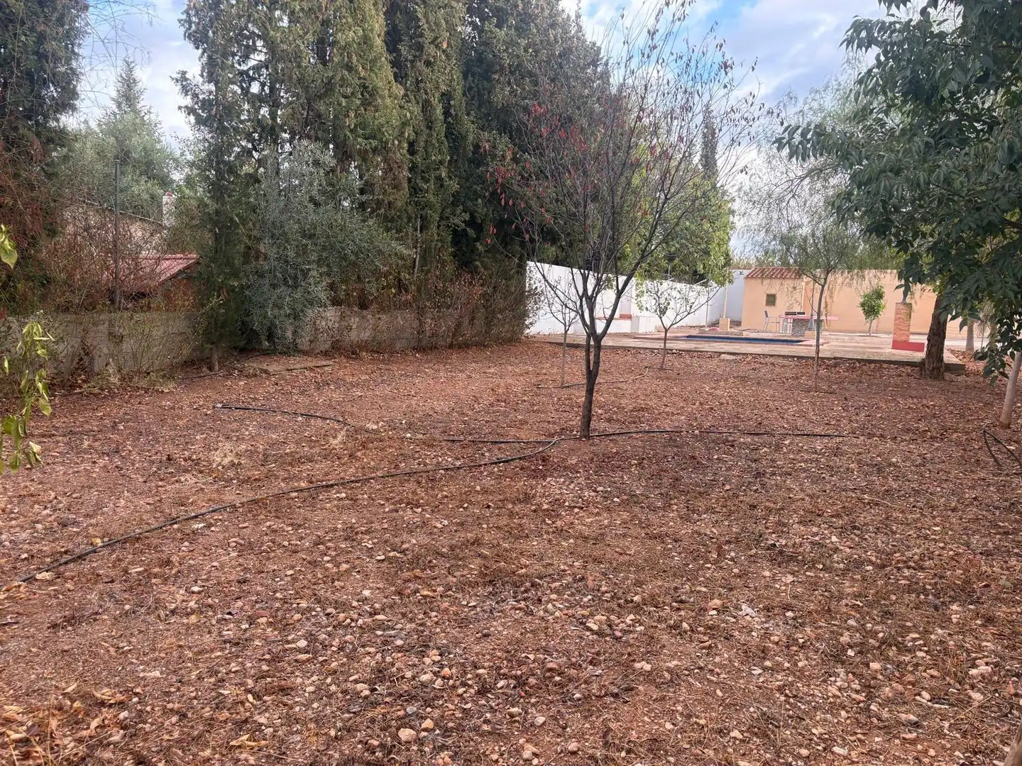 Detached house with pool for sale in Urbanizaciones, imagen 4