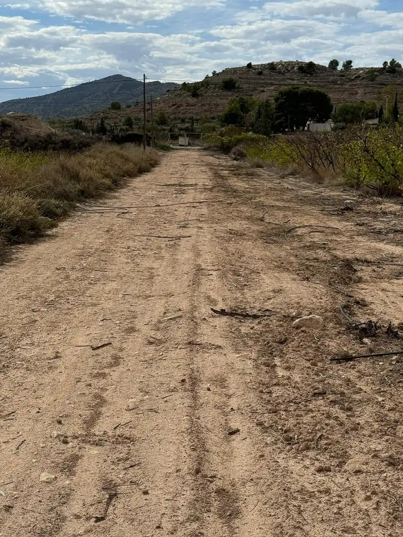 Residential land for sale in Monóvar  / Monòver, imagen 13