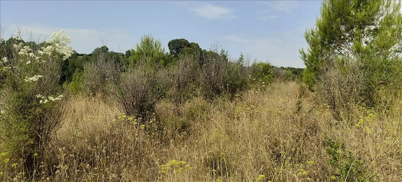 Terreno residencial en venta en Olivares, imagen 17