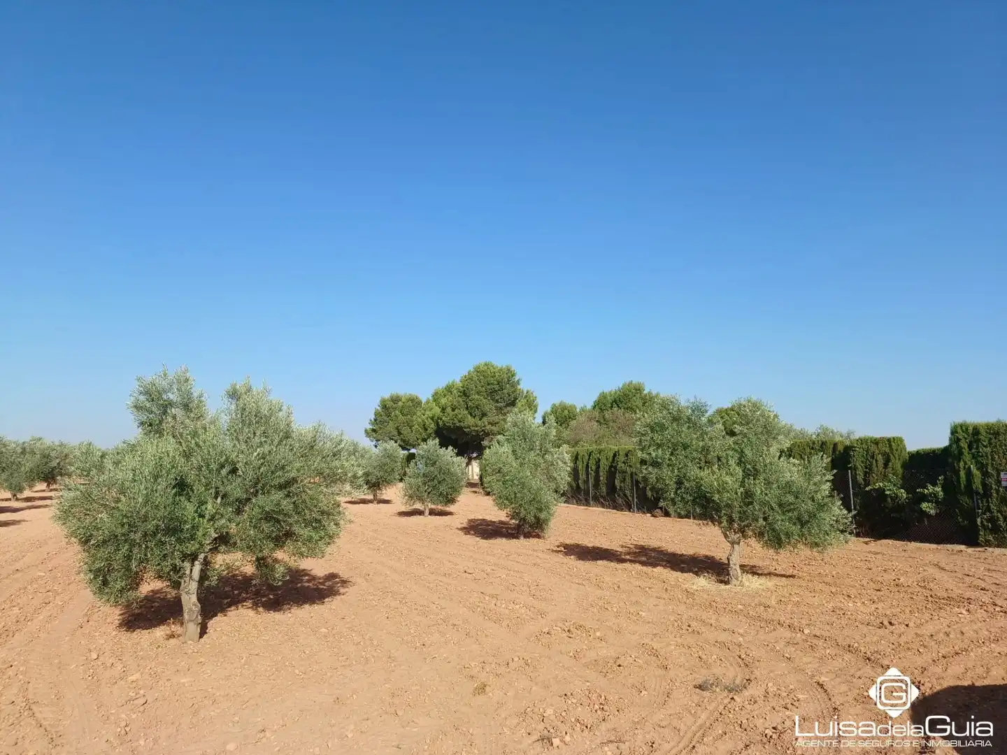 Terreno rustico in vendita a Campo de Criptana, imagen 23