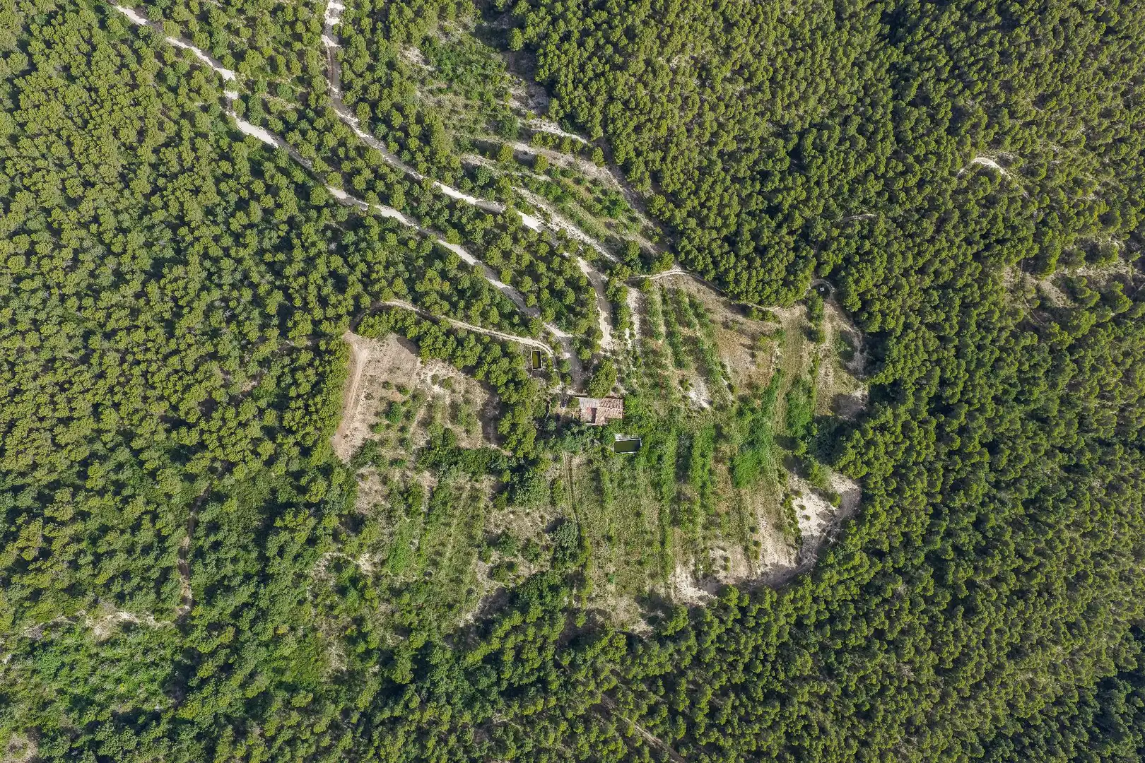 Finca rústica en venta en Moratalla con Piscina