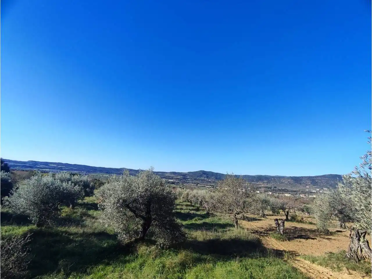 Residencial en venta en El Grado