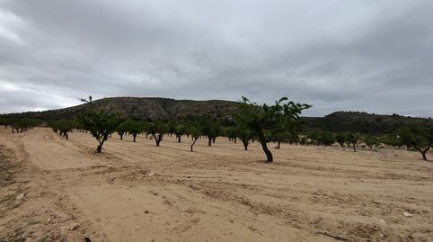 Photo 5 of Land for sale in N/a, -1, Sax, Alicante