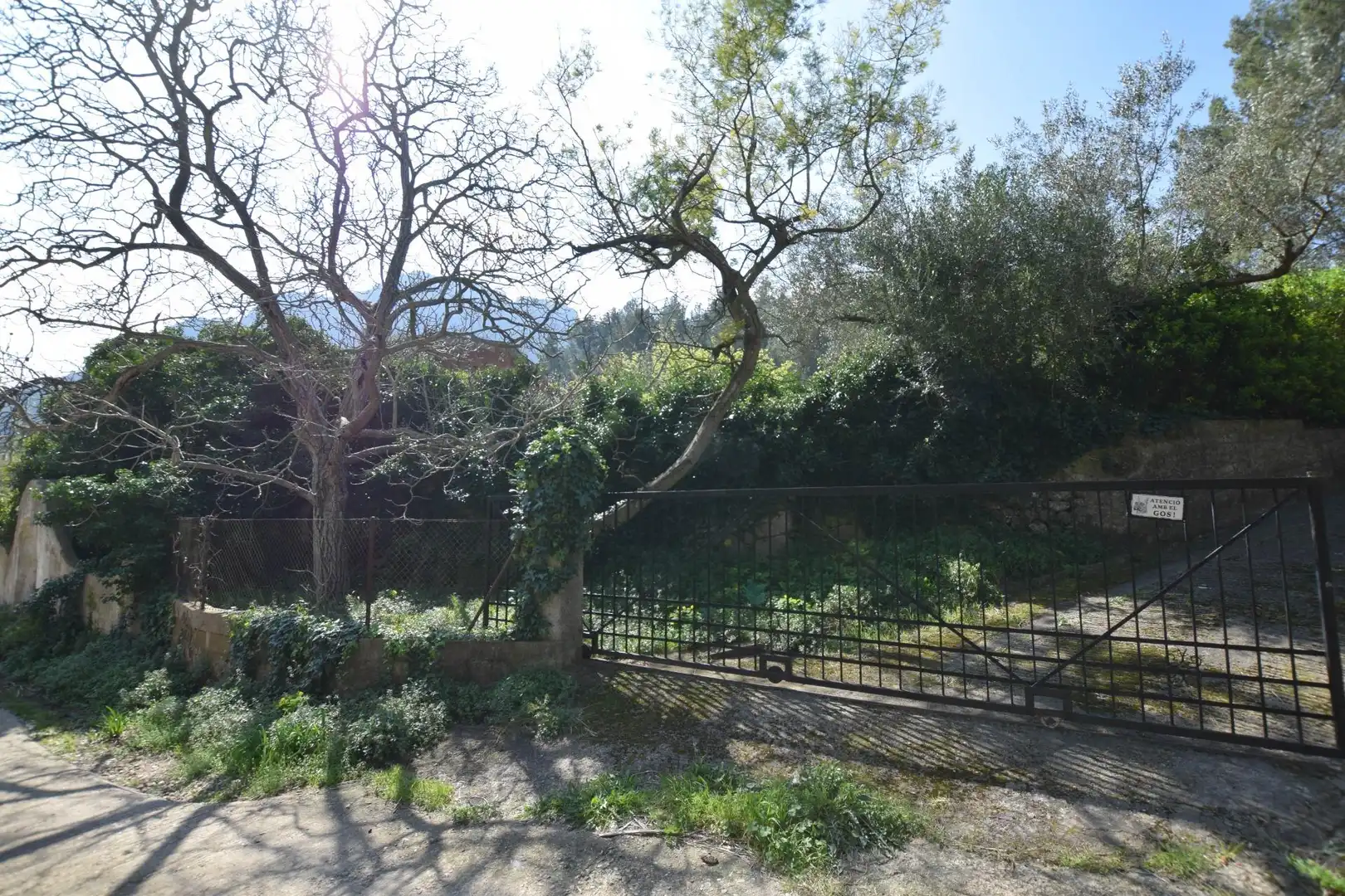 Jardí de Casa o xalet en venda en Alfara de Carles amb Terrassa, Traster i Piscina
