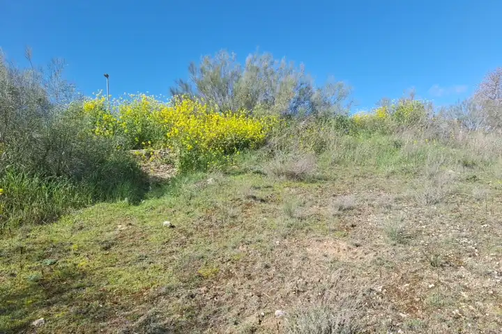 Terreny residencial en venda a MURALLAS DE LUGO, imagen 10