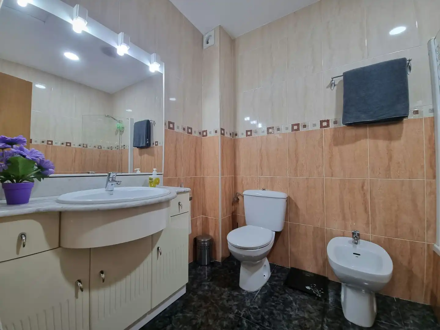 Bathroom of Detached homes for sale in Olot  with Heating, Furnished and Balcony