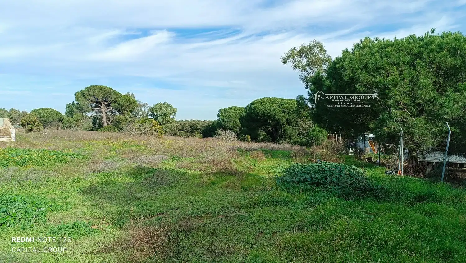 Terrenos y solares en venta en Gibraleón, imagen 40