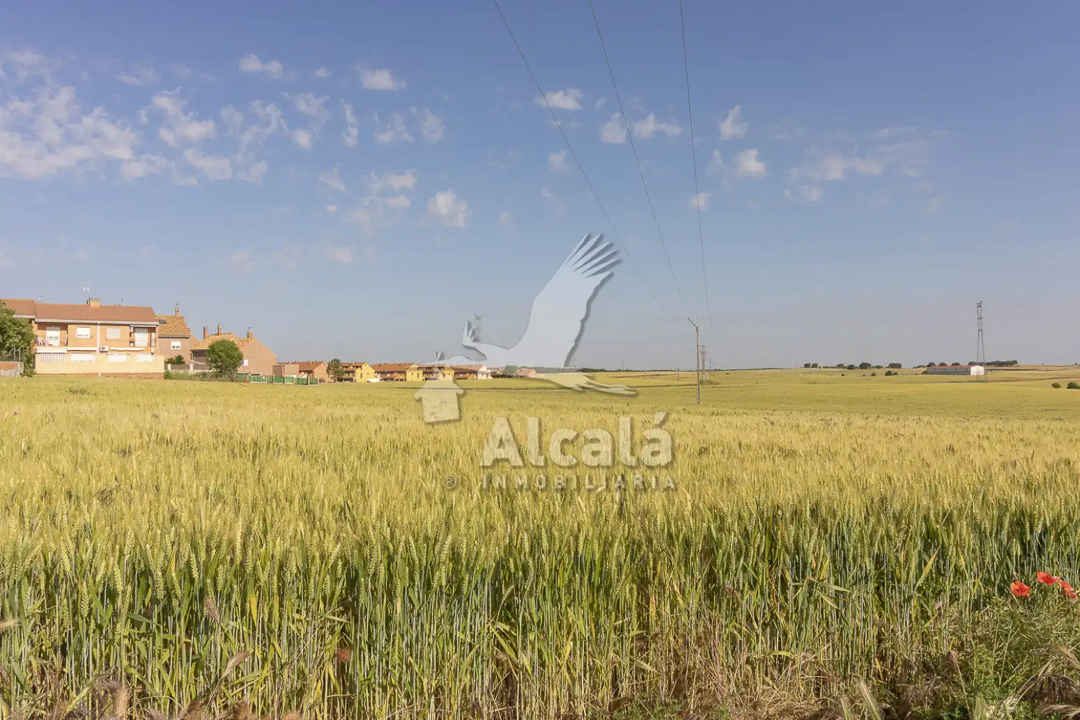 Terreno residencial en venta en Pioz, imagen 46
