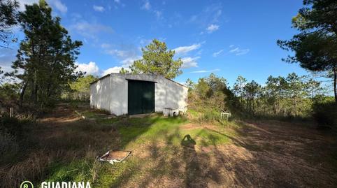 Foto 3 de Finca rústica en venda a  Diseminados, 1, Villablanca, Huelva