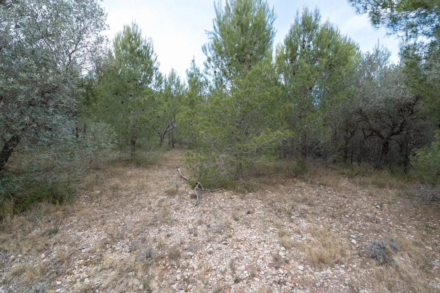 Grundstücke zum Verkauf in Canet lo Roig