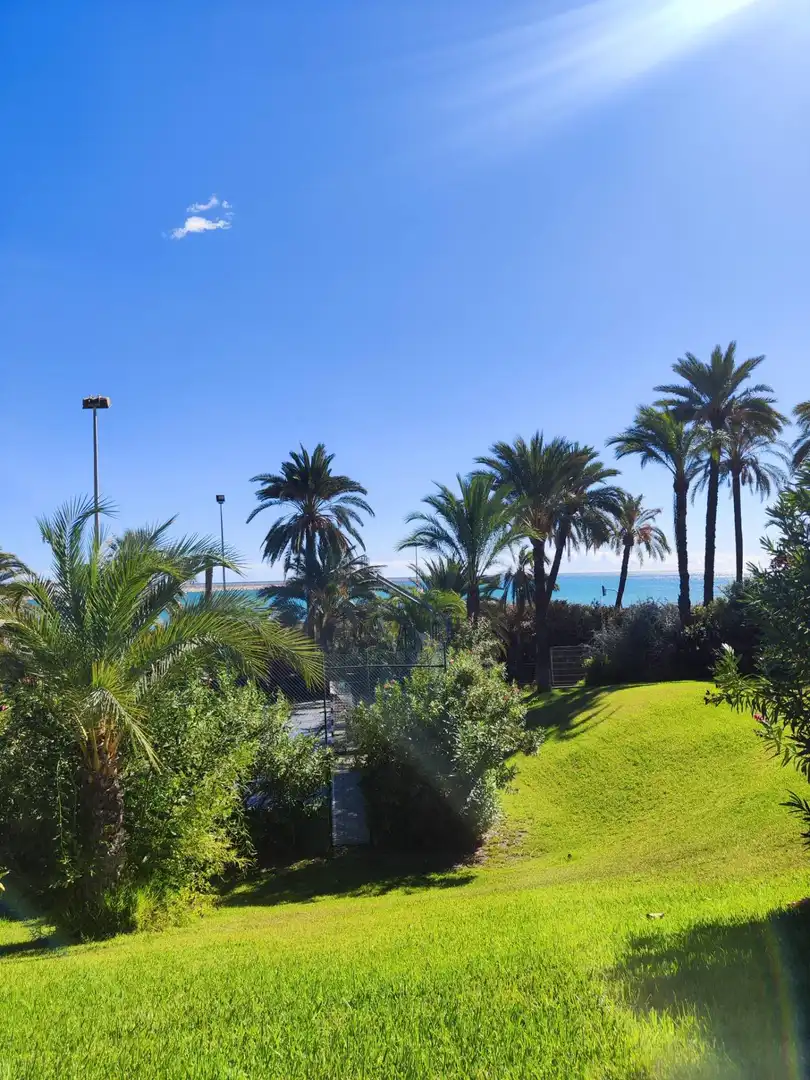 Jardí de Pis en venda en Alicante / Alacant amb Calefacció i Piscina comunitària