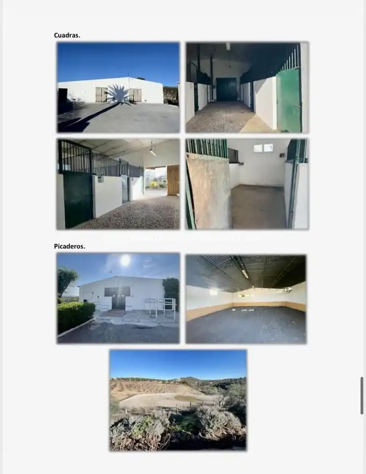 Vista exterior de Casa o xalet en venda en Lucena amb Aire condicionat, Jardí privat i Terrassa