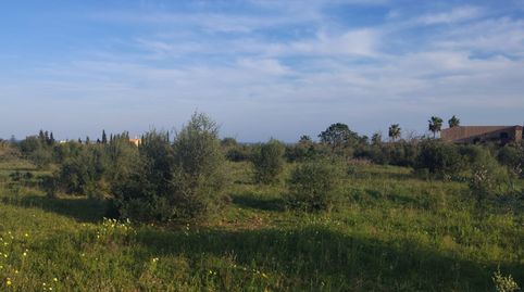 Photo 4 of Land for sale in Cala Millor, Son Servera