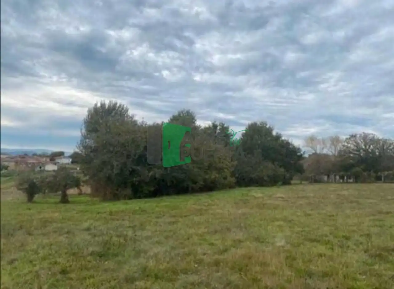 Terreni e lotti in vendita a A Merca, imagen 2