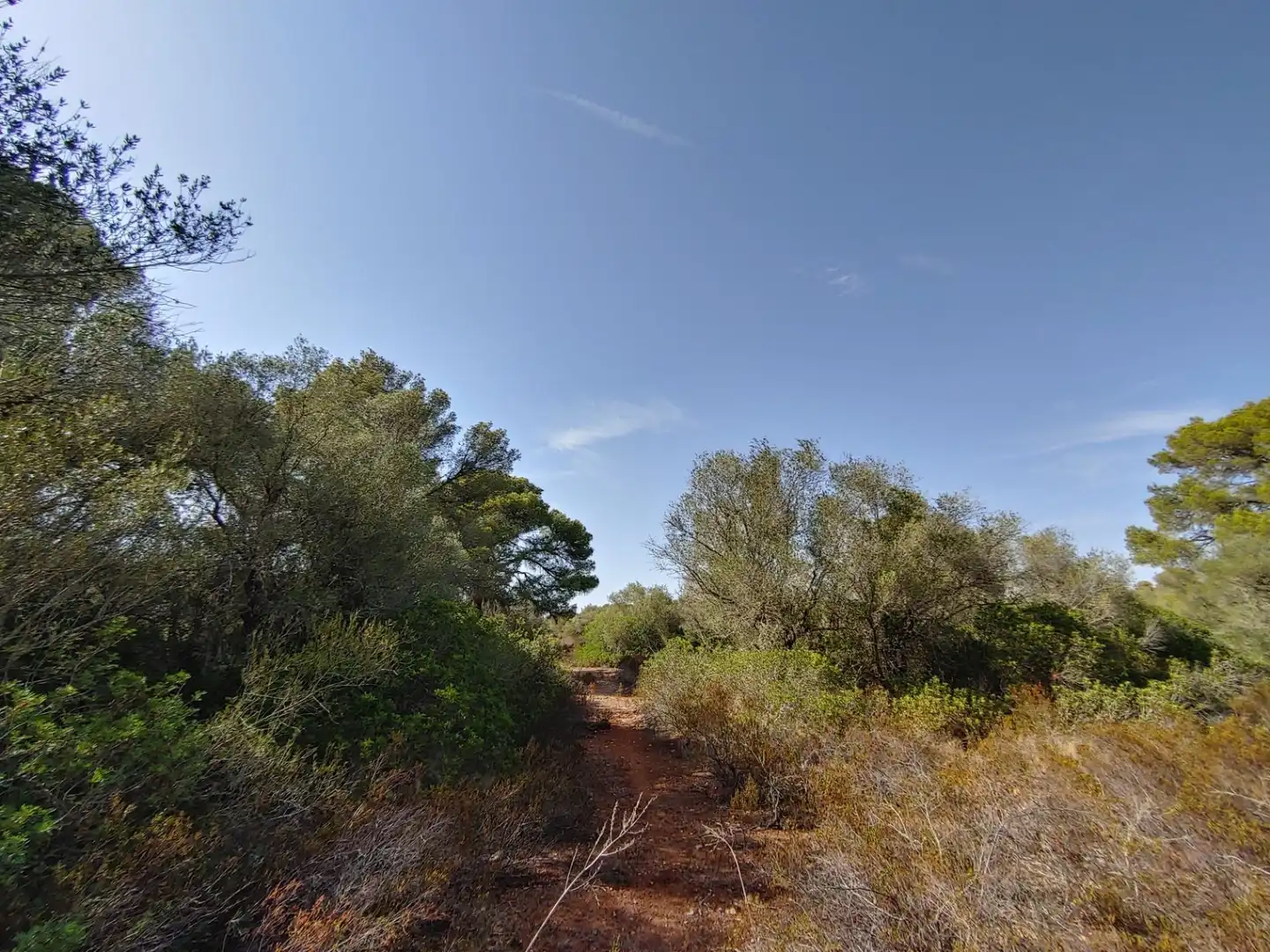 Residencial en venta en Polígono Parcela 12, Cala Pi - Vallgornera