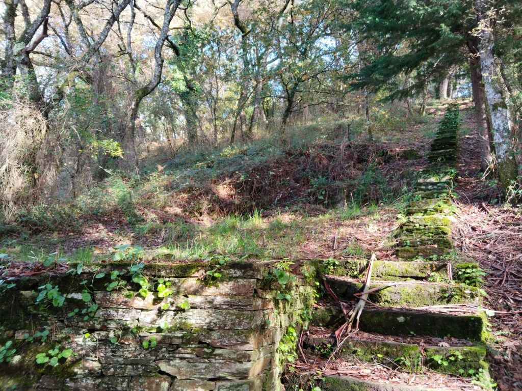 Country house for sale in Recatelo - O Carme