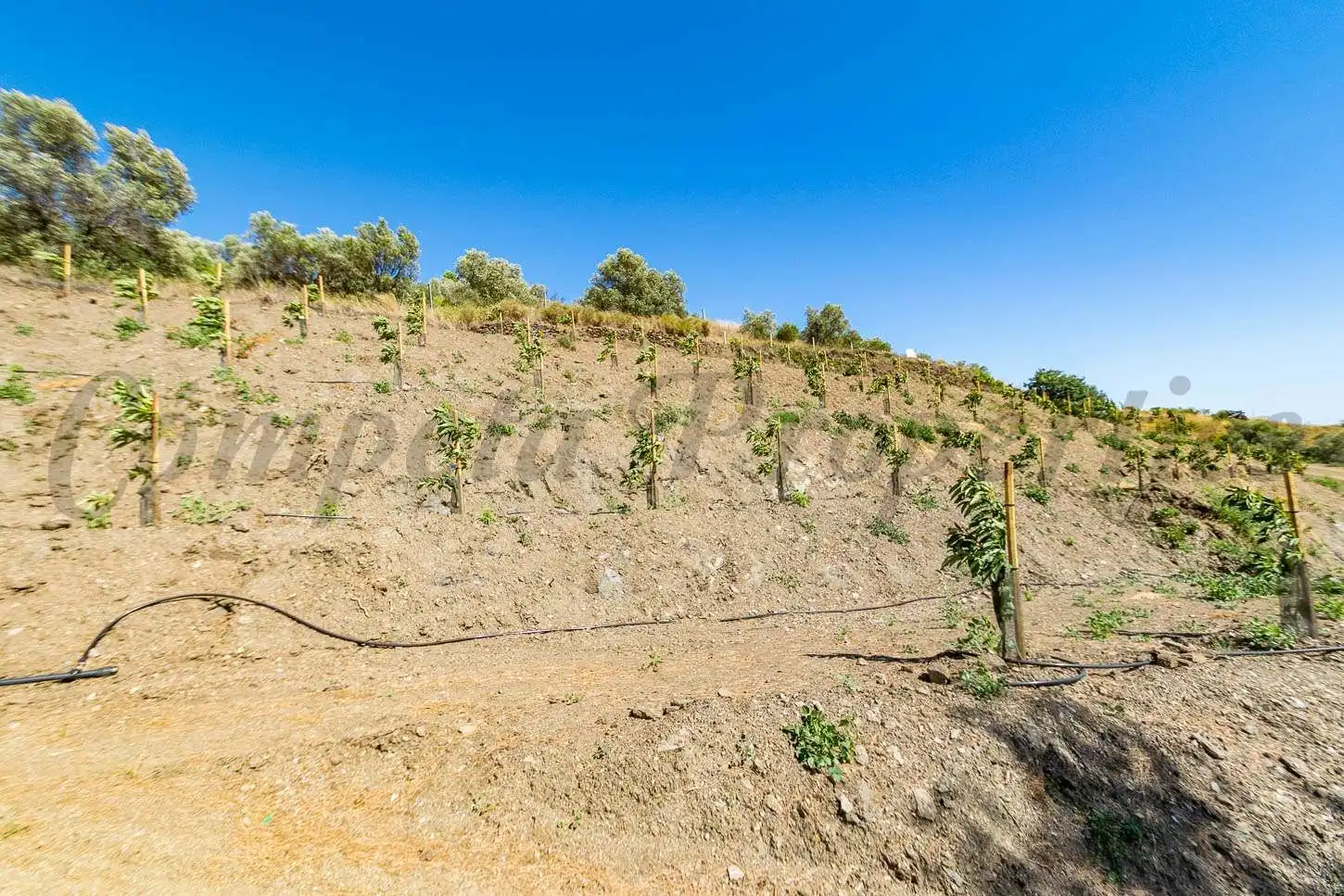 Rustikales Grundstück zum Verkauf in Torrox Pueblo, imagen 6