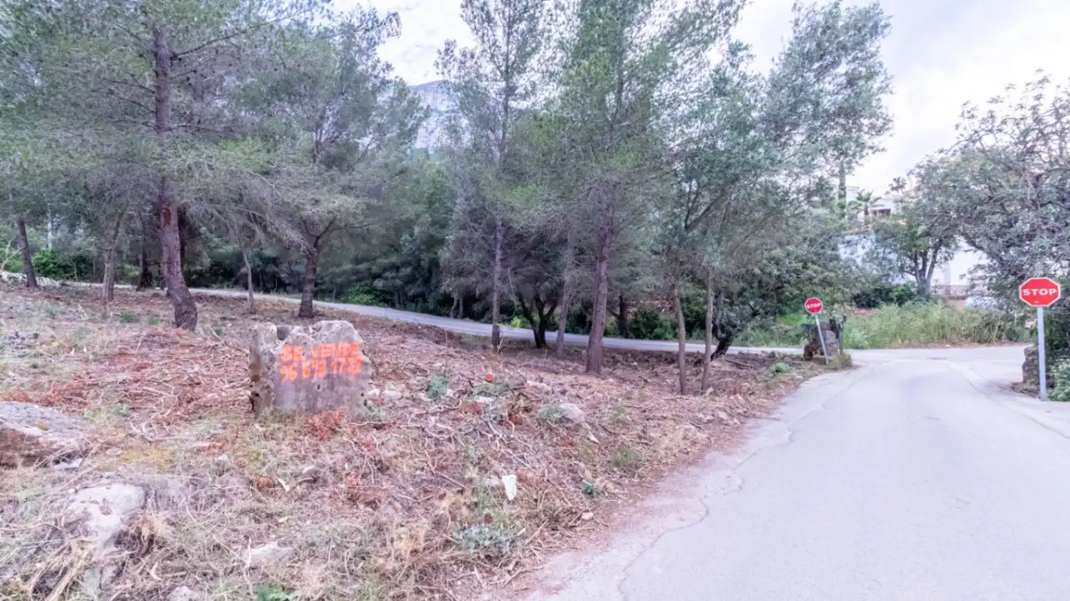 Terreny residencial en venda a El Montgó, imagen 10