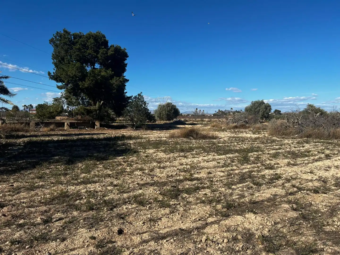 Casa o xalet en venda a Perleta - Maitino