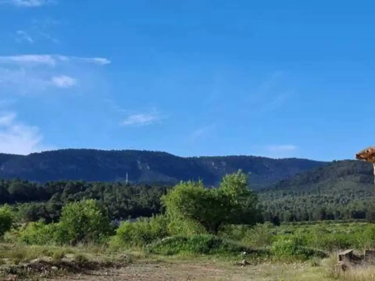Casa o chalet en venta en Letur