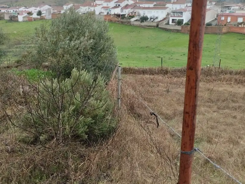 Grundstücke zum Verkauf in Puebla del Maestre