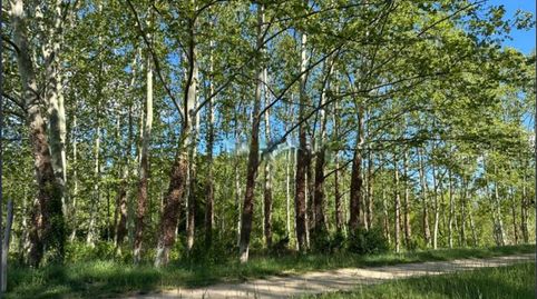 Photo 4 of Houses for sale in Bescanó, Girona