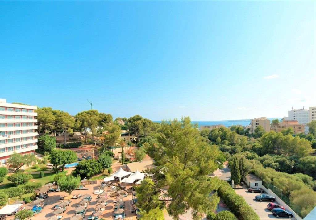 Jardí de Apartament en venda en Calvià amb Terrassa