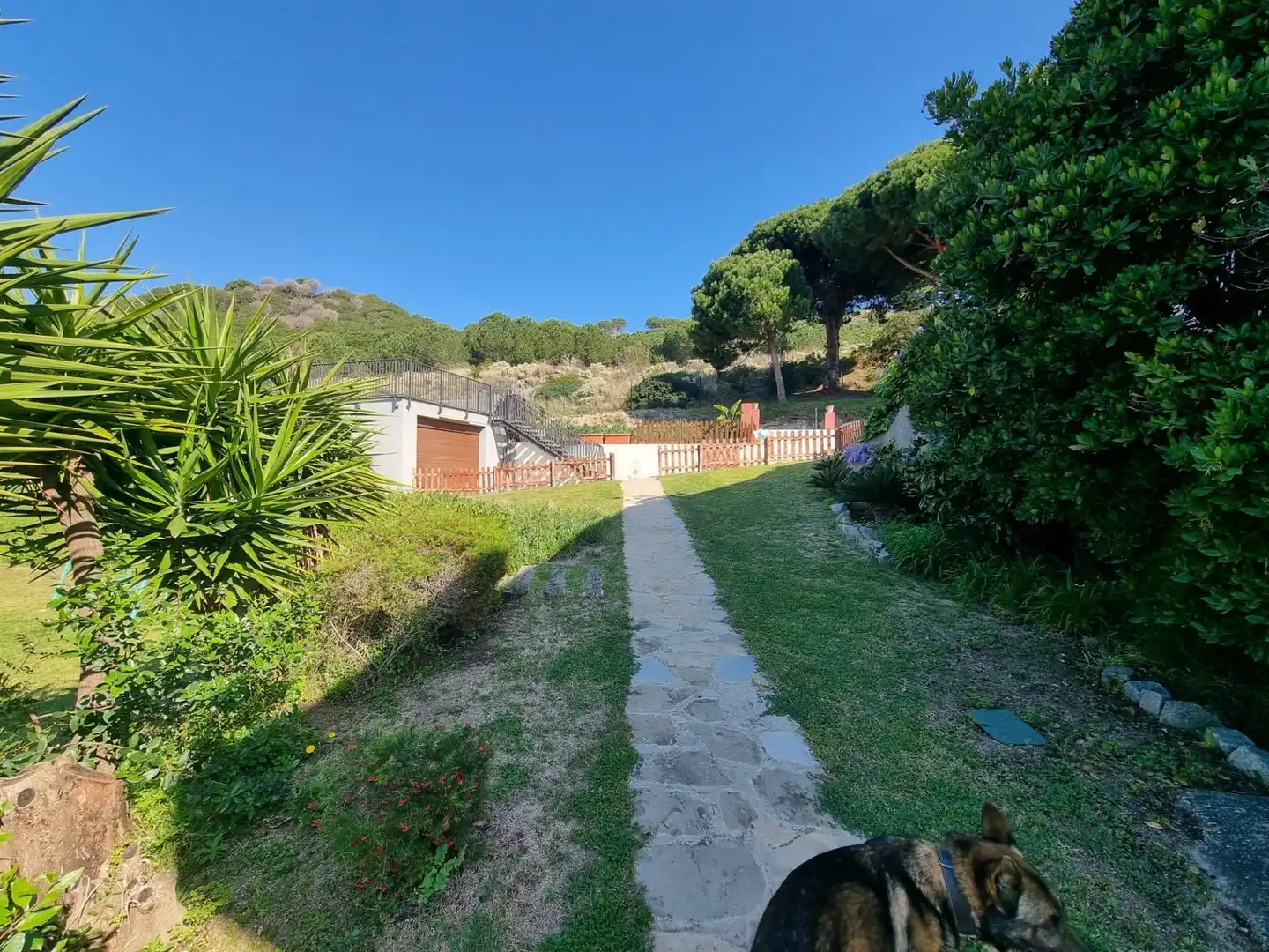 Casa o xalet en venda a Argentona Est