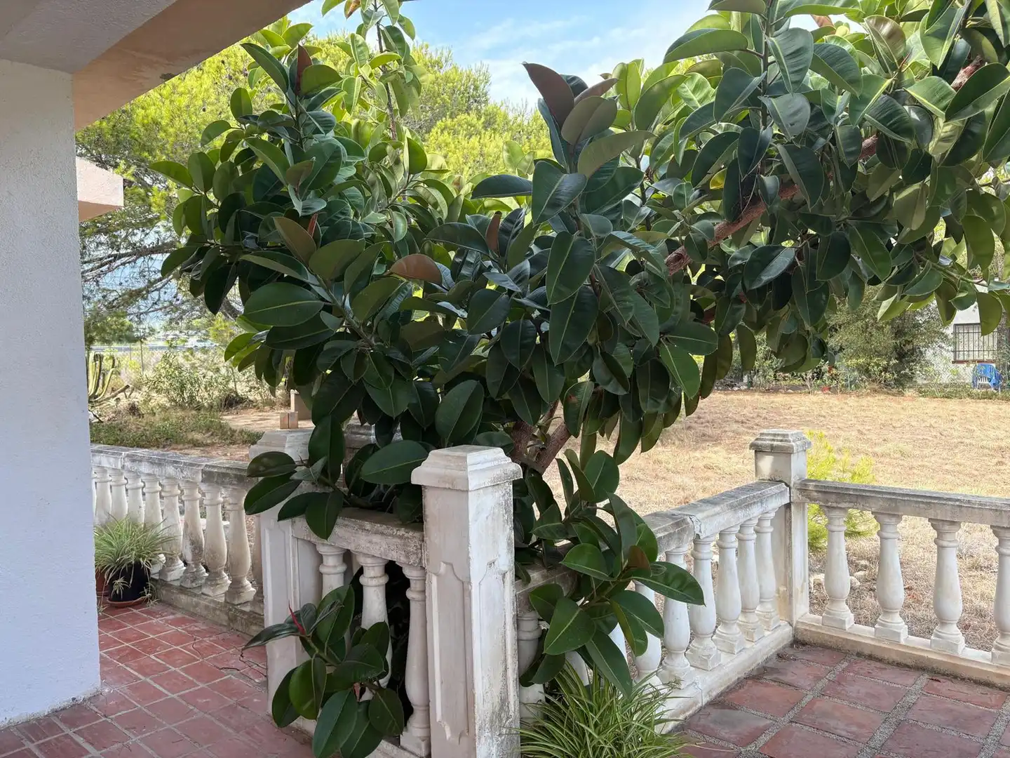 Jardí de Casa o xalet en venda en L'Ametlla de Mar  amb Jardí privat i Terrassa