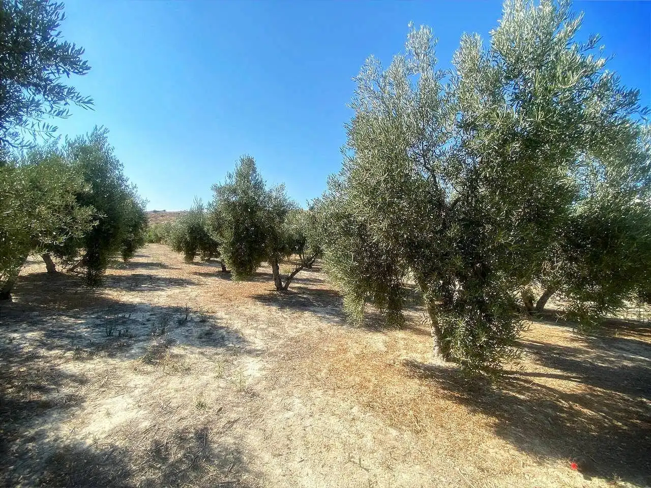 Chalet en venta en Pedanías Este, imagen 18
