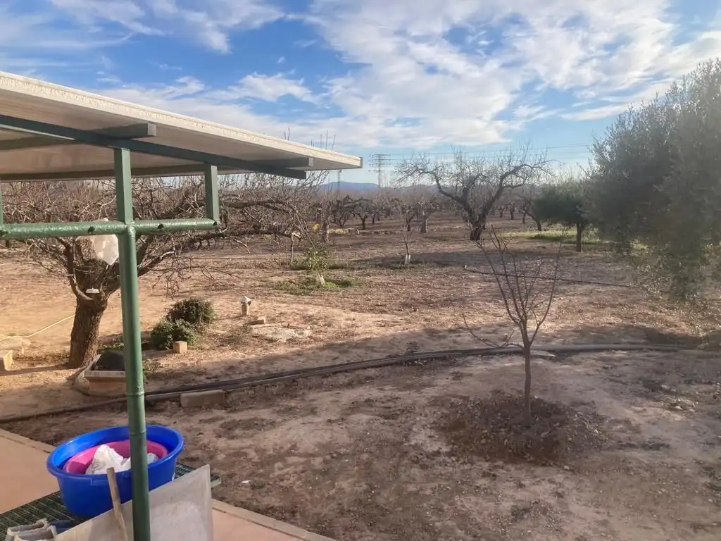 Casa o xalet en venda en Fuente Álamo de Murcia amb Jardí privat i Traster