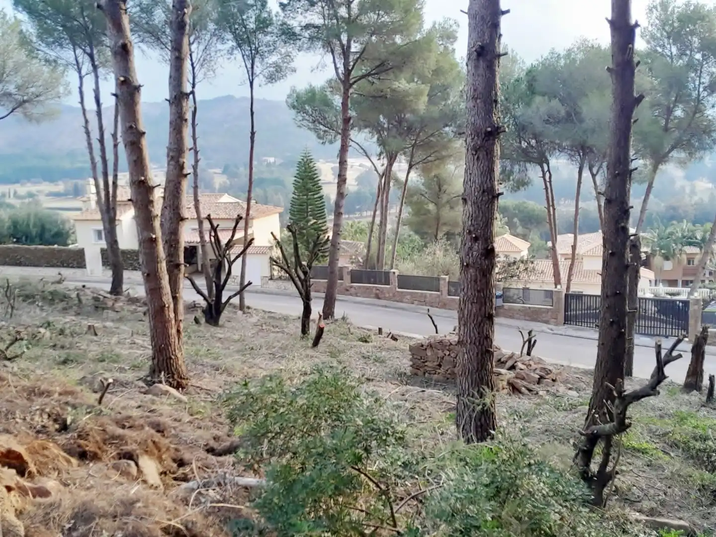 Terrenys i solars en venda a Pedreguer