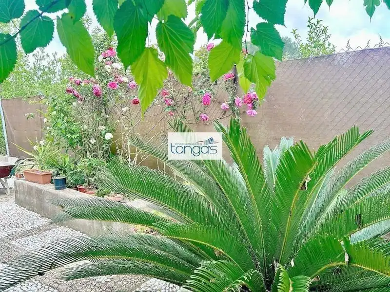 Casa o xalet en venda a El Genovés