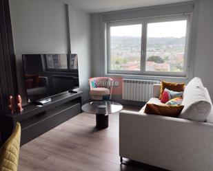Sala d'estar de Apartament en venda en Ourense Capital  amb Calefacció i Balcó