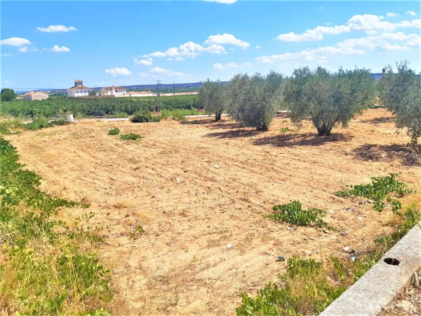 Wohnbaugrundstück zum Verkauf in Carretera Caudete - Los Corrales 2, imagen 4