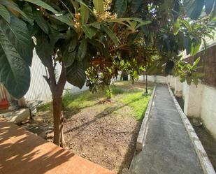 Garden of Country house for sale in Canet de Mar