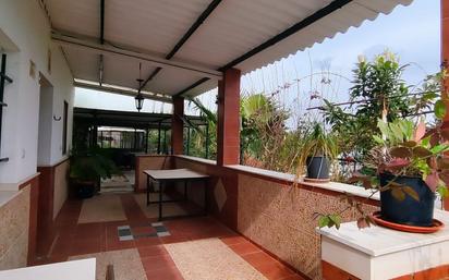 Terrassa de Finca rústica en venda en Gibraleón amb Terrassa