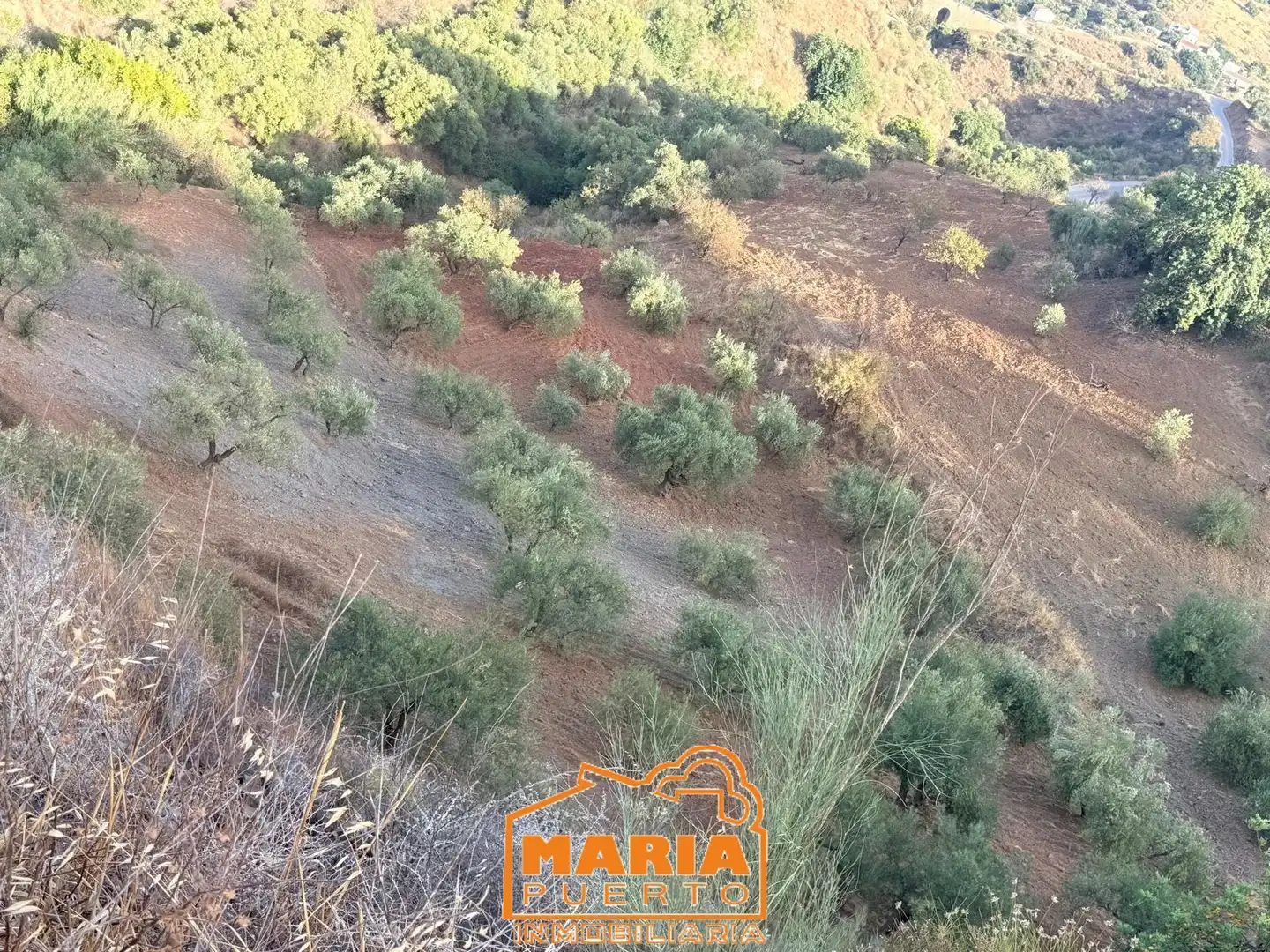 Terreno rustico in vendita a Almogía, imagen 15