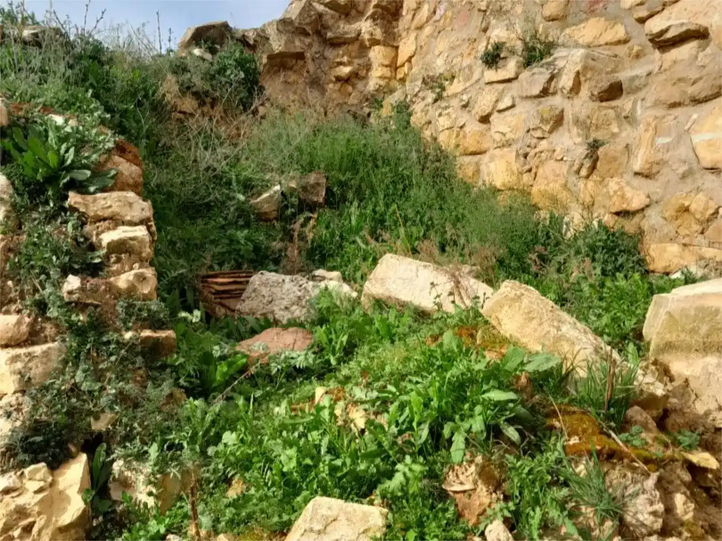 Garden of Land for sale in Caballar