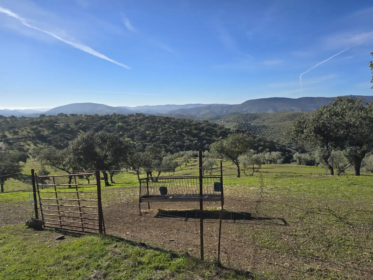 Casa rústica en venta en Pozoblanco, imagen 16