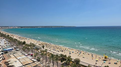 Foto 2 de Estudio de alquiler en Les Maravelles, Palma de Mallorca