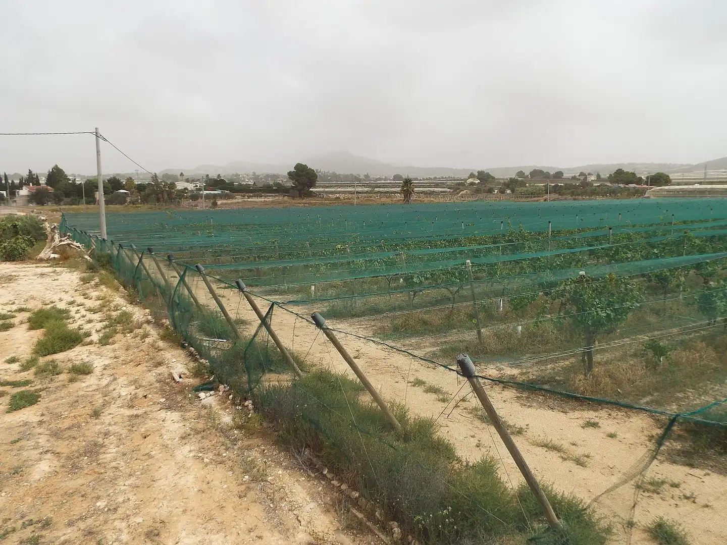 Terreno residencial en venta en Monforte del Cid, imagen 2