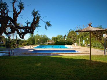 Apartamento con piscina en venta en Partida Paraiso
